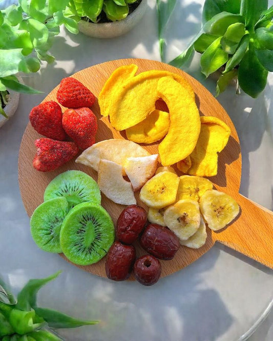 Nova - Food Dehydrator