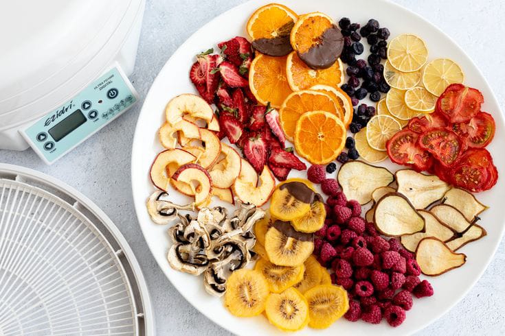 Nova - Food Dehydrator